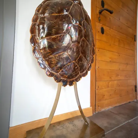 Villa La Coucou Nîmes